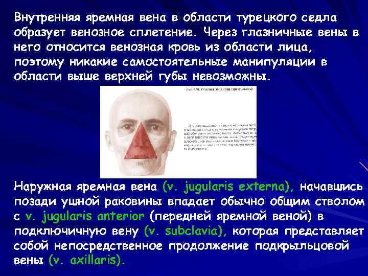 Внутренняя яремная вена в области турецкого седла образует венозное сплетение. Через глазничные вены в
