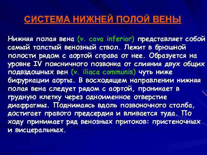 СИСТЕМА НИЖНЕЙ ПОЛОЙ ВЕНЫ Нижняя полая вена (v. cava inferior) представляет собой самый толстый