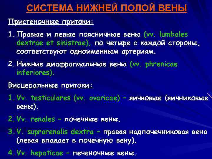 Нижняя полая вена это. Система нижней полой вены. Системс нижней половй аены. Система нижняя полая Вена. Система нижней полой вены анатомия.