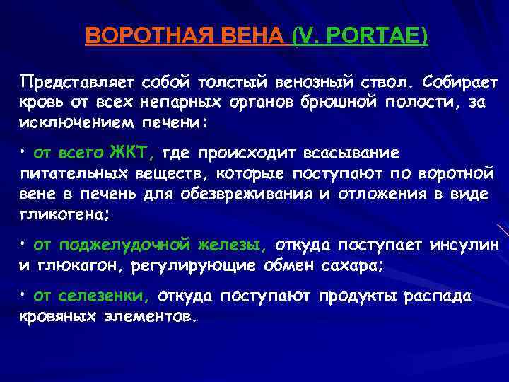 ВОРОТНАЯ ВЕНА (V. PORTAE) Представляет собой толстый венозный ствол. Собирает кровь от всех непарных