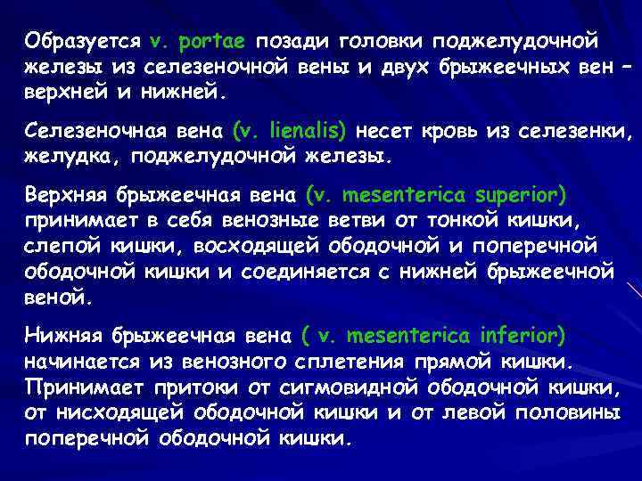 Образуется v. portae позади головки поджелудочной железы из селезеночной вены и двух брыжеечных вен