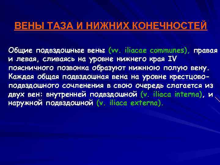 Вены таза. Тип распределения венозных. Большинство вены таза впадают в Вену.