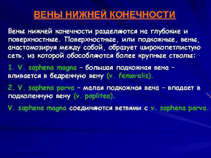 ВЕНЫ НИЖНЕЙ КОНЕЧНОСТИ Вены нижней конечности разделяются на глубокие и поверхностные. Поверхностные, или подкожные,