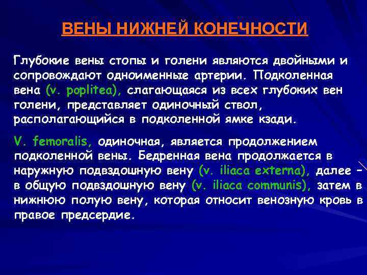 ВЕНЫ НИЖНЕЙ КОНЕЧНОСТИ Глубокие вены стопы и голени являются двойными и сопровождают одноименные артерии.