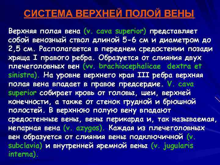 СИСТЕМА ВЕРХНЕЙ ПОЛОЙ ВЕНЫ Верхняя полая вена (v. cava superior) представляет собой венозный ствол