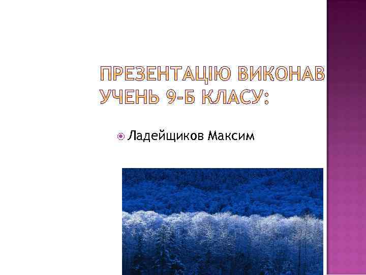  Ладейщиков Максим 