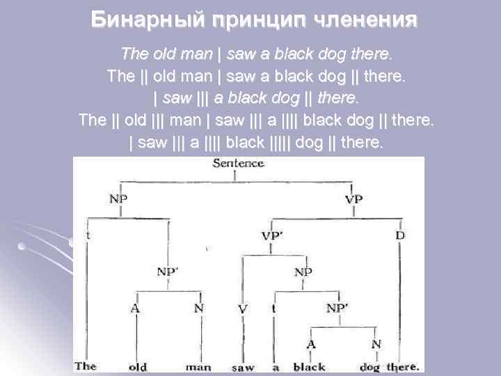 Бинарный принцип членения The old man | saw a black dog there. The ||
