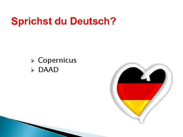 Sprichst du Deutsch? Ø Ø Copernicus DAAD 