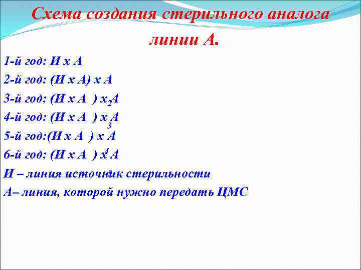 Схема создания стерильного аналога линии А. 1 -й год: И х А 2 -й
