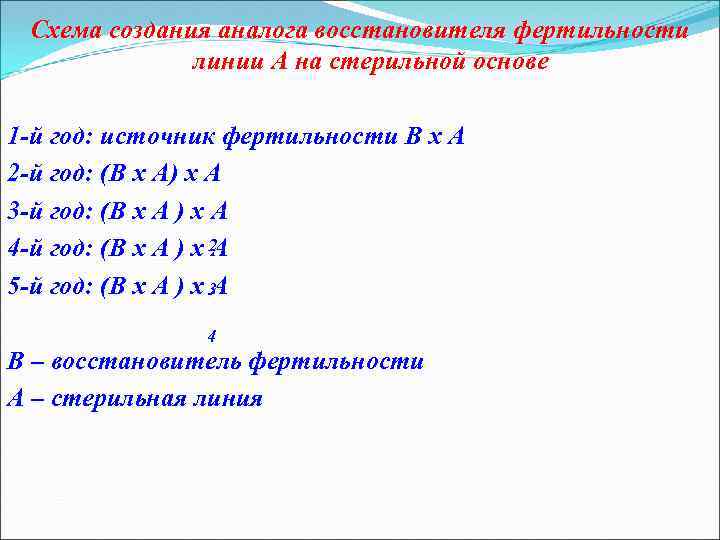 Схема создания аналога восстановителя фертильности линии А на стерильной основе 1 -й год: источник