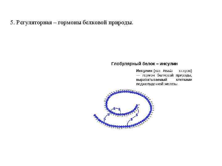 5. Регуляторная – гормоны белковой природы. 
