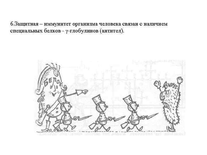 6. Защитная – иммунитет организма человека связан с наличием специальных белков - γ-глобулинов (антител).