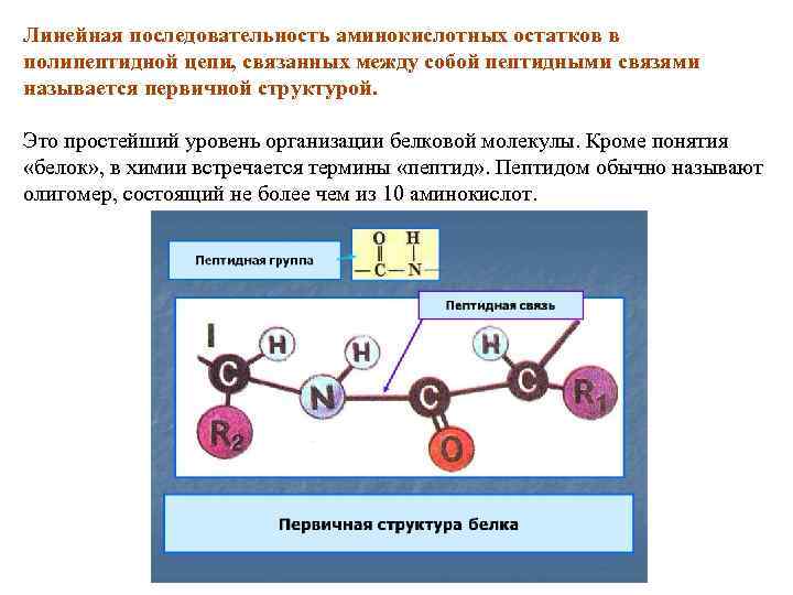 Последовательность полипептидной цепи. Последовательность аминокислотных остатков в полипептидной цепи. Построение аминокислотной последовательности в полипептидную цепь. Линейная последовательность аминокислот. Последовательность аминокислот в пептидной связи называют.