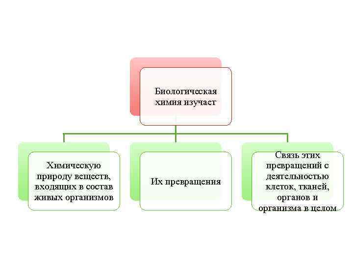 Биологическая химия изучает Химическую природу веществ, входящих в состав живых организмов Их превращения Связь