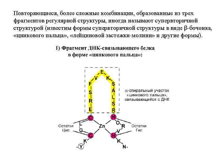 Повторяющиеся, более сложные комбинации, образованные из трех фрагментов регулярной структуры, иногда называют супервторичной структурой