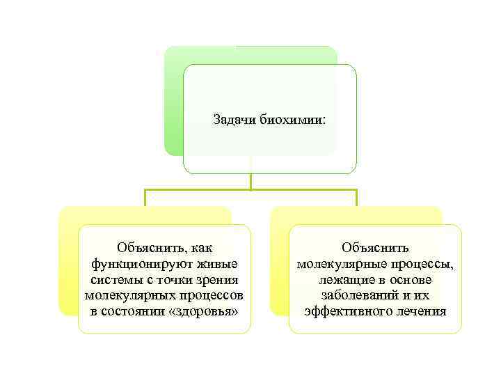 Задачи биохимии: Объяснить, как функционируют живые системы с точки зрения молекулярных процессов в состоянии