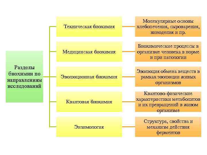 Техническая биохимия Медицинская биохимия Разделы биохимии по направлениям исследований Молекулярные основы хлебопечения, сыроварения, виноделия