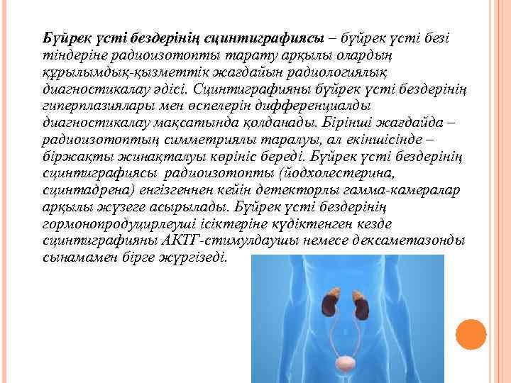  Бүйрек үсті бездерінің сцинтиграфиясы – бүйрек үсті безі тіндеріне радиоизотопты тарату арқылы олардың