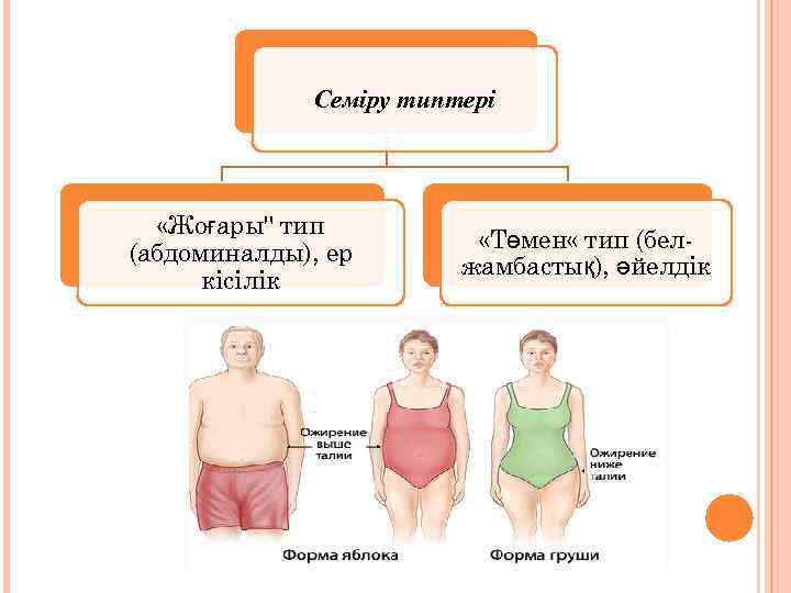 Семіру типтері «Жоғары" тип (абдоминалды), ер кісілік «Төмен « тип (белжамбастық), әйелдік 