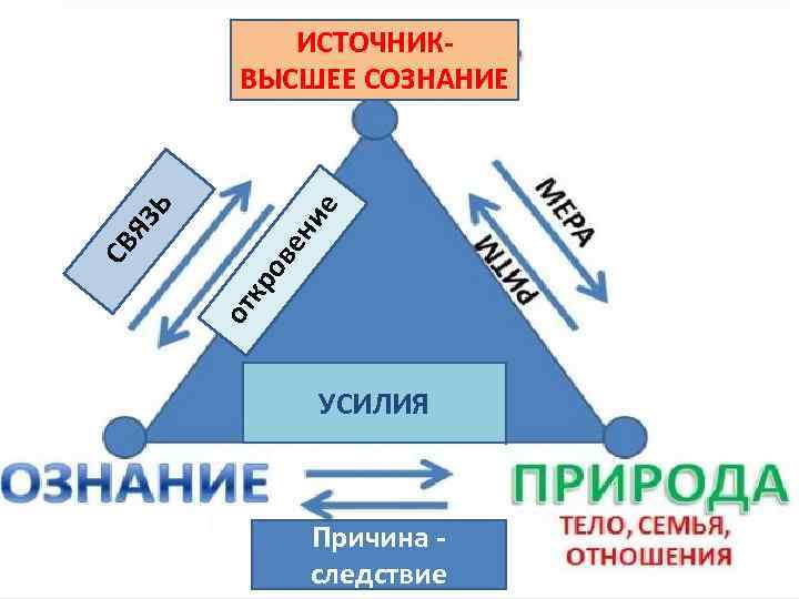 ВЫСШЕЕ СОЗНАНИЕ ИСТОЧНИКВЫСШЕЕ СОЗНАНИЕ ДУША кр от СВ Л О Ж Н О Е