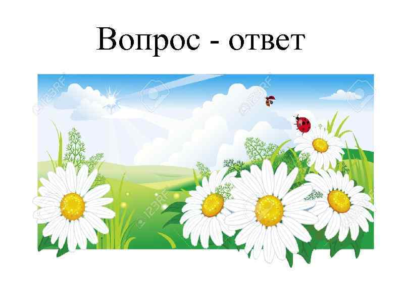 Вопрос - ответ 