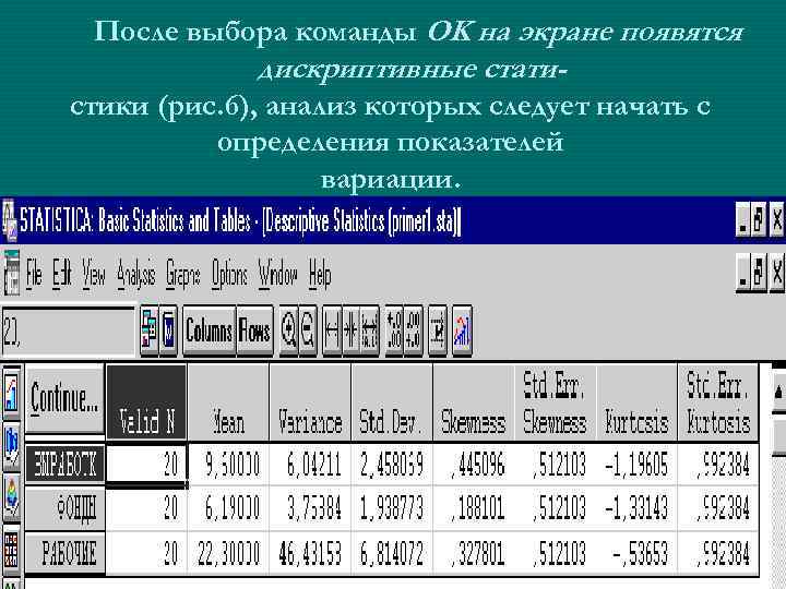 После выбора команды OK на экране появятся дискриптивные стати- стики (рис. 6), анализ которых