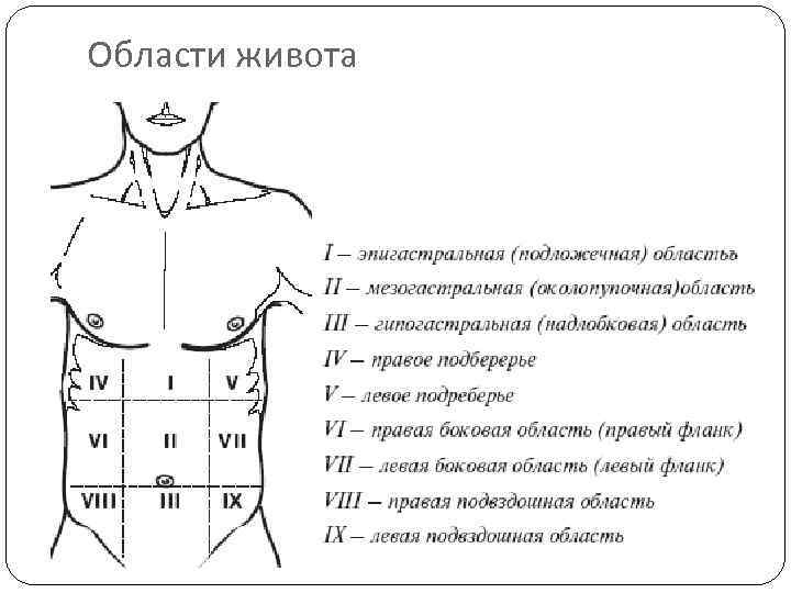 Области живота 