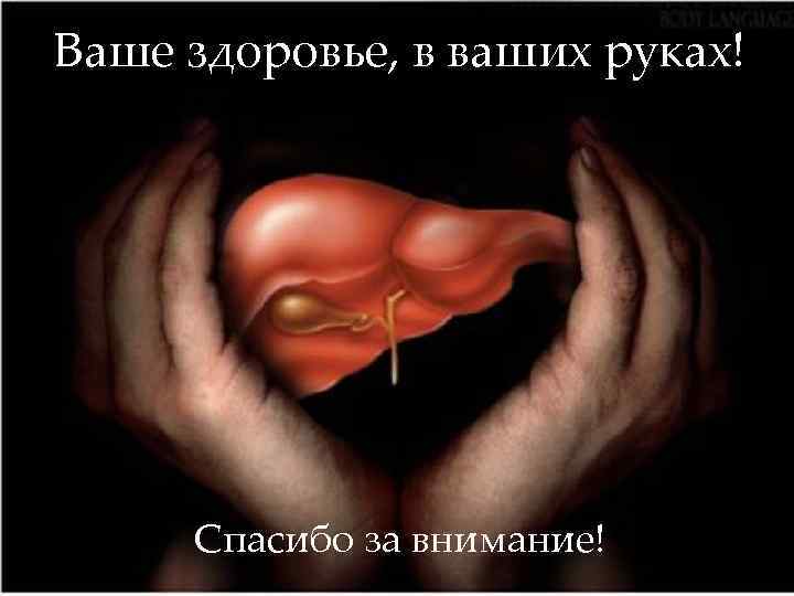 Ваше здоровье, в ваших руках! Спасибо за внимание! 