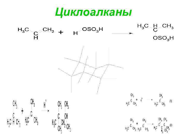 Циклоалканы 