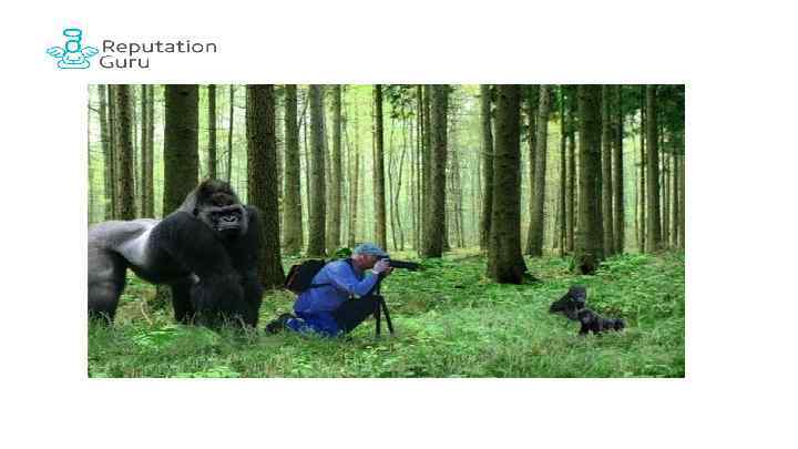 Вы – профессионалы! 