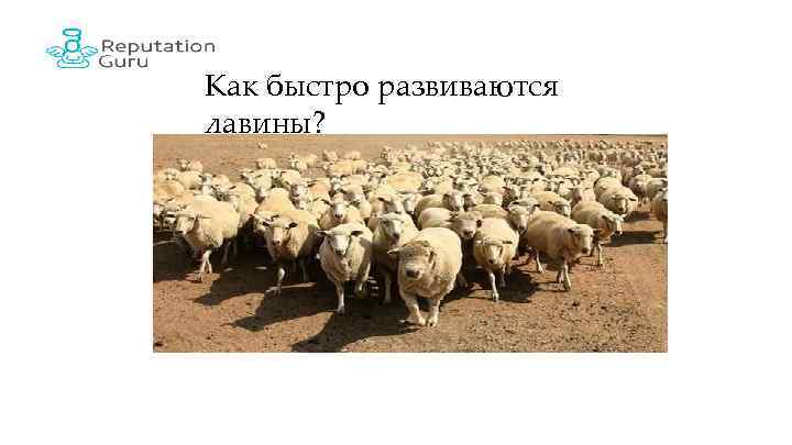 Как быстро развиваются лавины? 