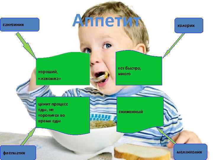 Аппетит сангвиник хороший, «лакомка» ценит процесс еды, не торопится во время еды флегматик холерик