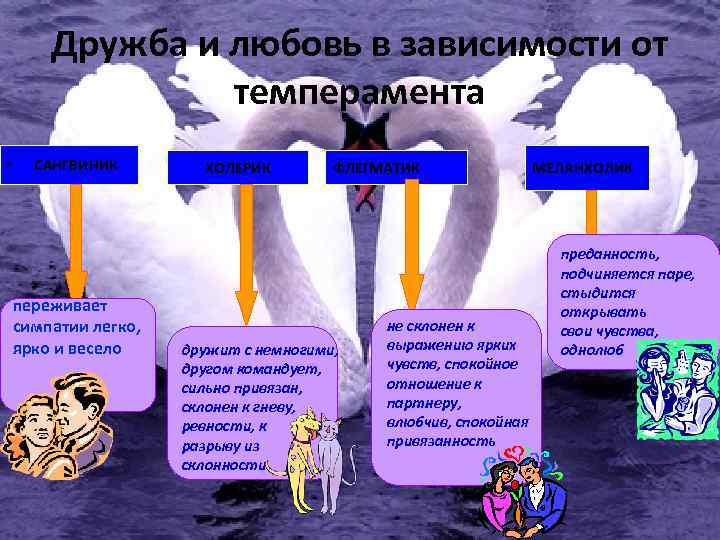 Дружба и любовь в зависимости от темперамента • САНГВИНИК переживает симпатии легко, ярко и