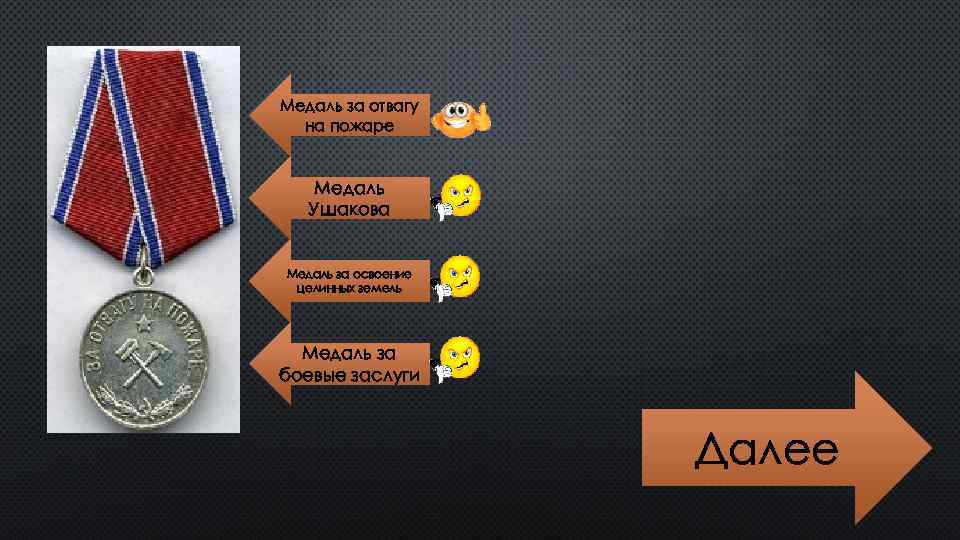 Медаль за отвагу на пожаре Медаль Ушакова Медаль за освоение целинных земель Медаль за