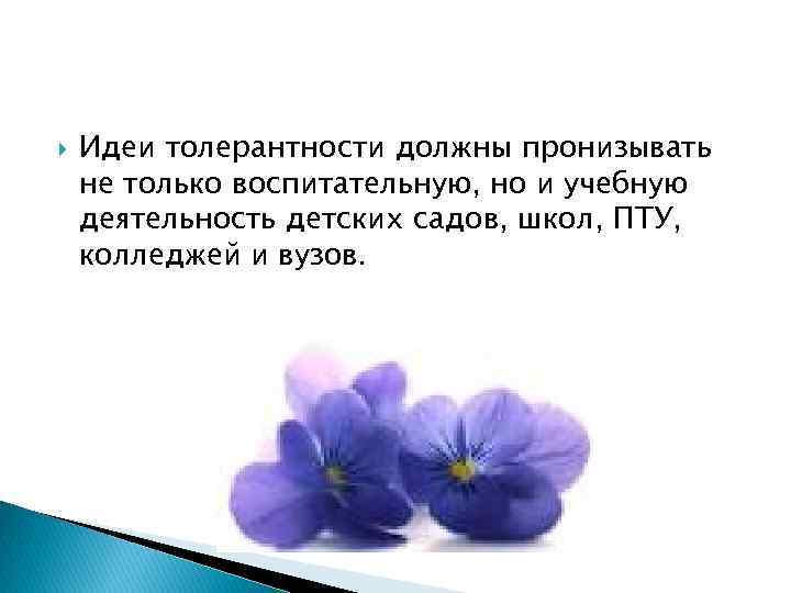  Идеи толерантности должны пронизывать не только воспитательную, но и учебную деятельность детских садов,