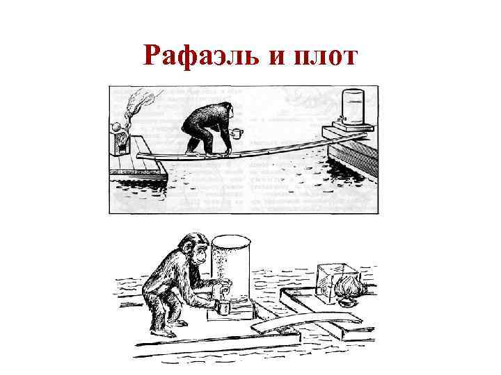 Рафаэль и плот 