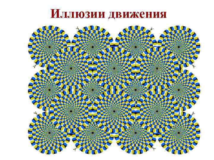 Иллюзии движения 