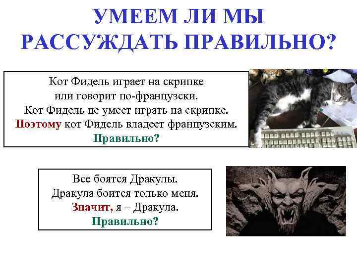 УМЕЕМ ЛИ МЫ РАССУЖДАТЬ ПРАВИЛЬНО? Кот Фидель играет на скрипке или говорит по-французски. Кот