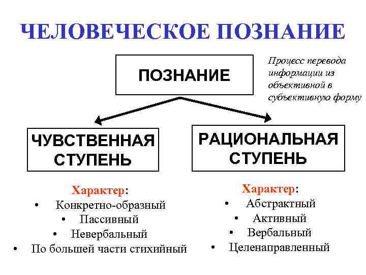 ЧЕЛОВЕЧЕСКОЕ ПОЗНАНИЕ ЧУВСТВЕННАЯ СТУПЕНЬ • Характер: • Конкретно-образный • Пассивный • Невербальный По большей