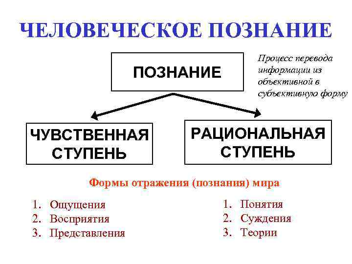 ЧЕЛОВЕЧЕСКОЕ ПОЗНАНИЕ ЧУВСТВЕННАЯ СТУПЕНЬ Процесс перевода информации из объективной в субъективную форму РАЦИОНАЛЬНАЯ СТУПЕНЬ