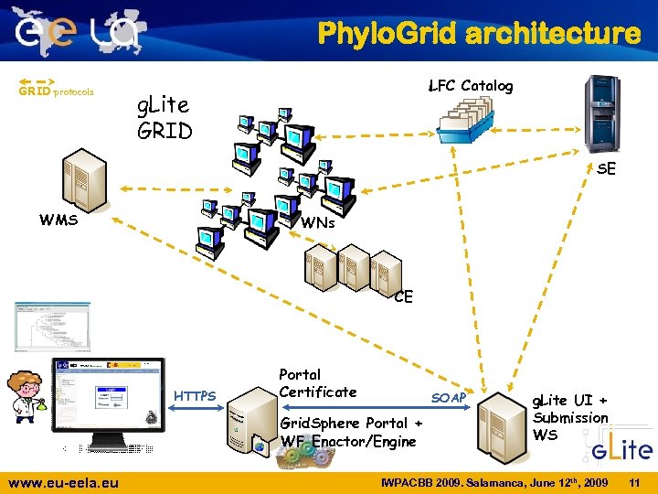 Phylo. Grid architecture GRID protocols LFC Catalog g. Lite GRID SE WMS WNs CE