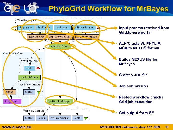 Phylo. Grid Workflow for Mr. Bayes • Input params received from Grid. Sphere portal