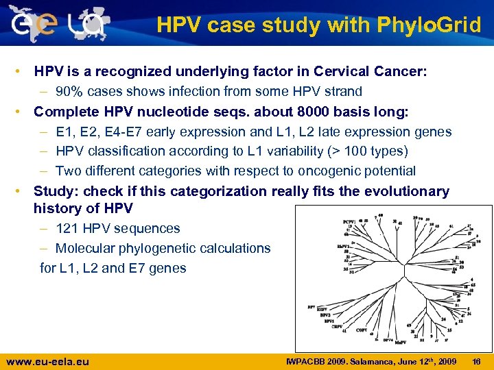 HPV case study with Phylo. Grid • HPV is a recognized underlying factor in