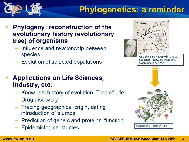Phylogenetics: a reminder • Phylogeny: reconstruction of the evolutionary history (evolutionary tree) of organisms