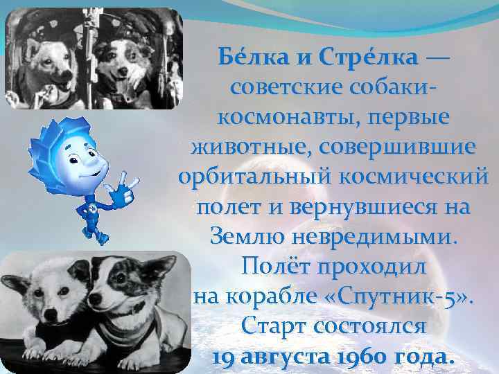 Бе лка и Стре лка — советские собакикосмонавты, первые животные, совершившие орбитальный космический полет