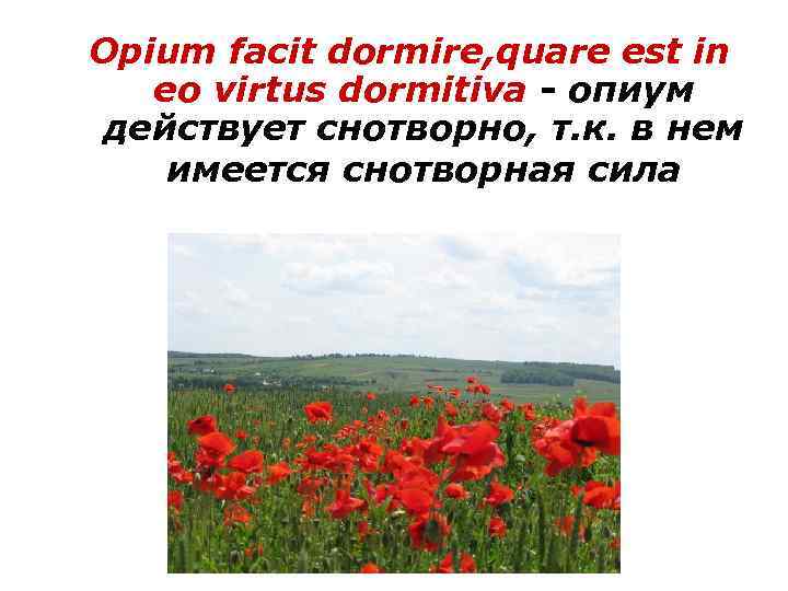 Opium facit dormire, quare est in eo virtus dormitiva - опиум действует снотворно, т.