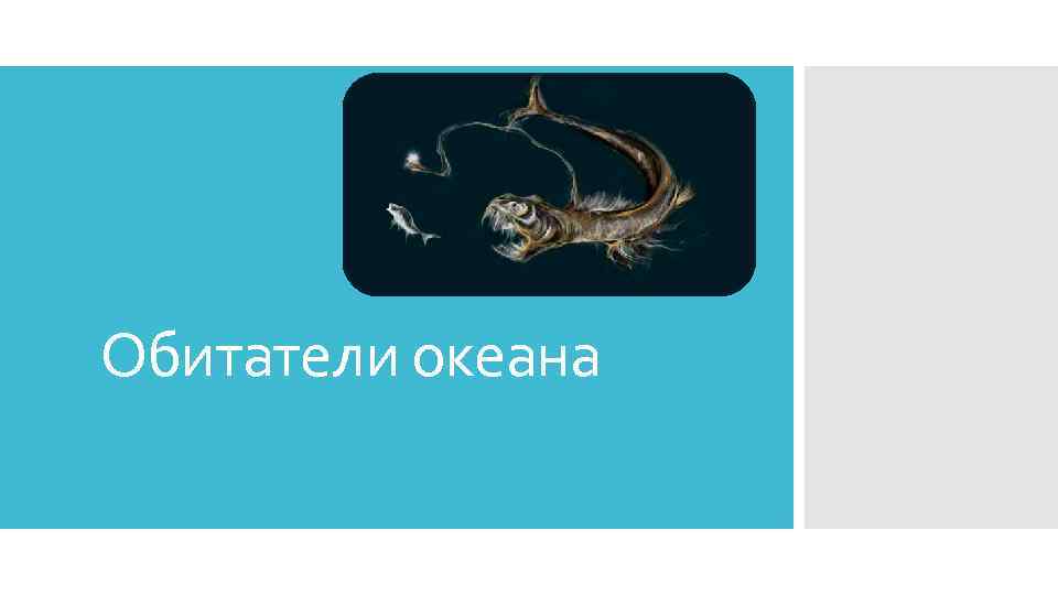 Обитатели океана 