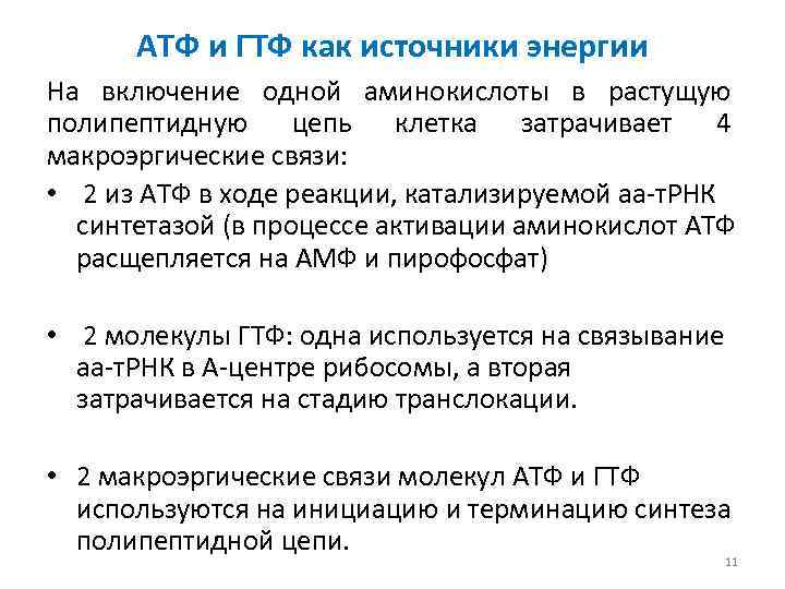 АТФ и ГТФ как источники энергии На включение одной аминокислоты в растущую полипептидную цепь