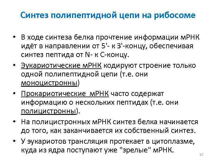 Синтез полипептидной цепи на рибосоме • В ходе синтеза белка прочтение информации м. РНК