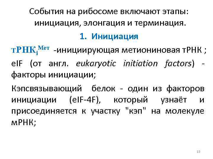 События на рибосоме включают этапы: инициация, элонгация и терминация. 1. Инициация т. РНКi. Мет